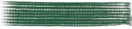 grønt bælte